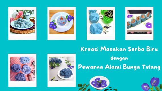 Kreasi Masakan Serba Biru dengan Pewarna Alami Bunga Telang